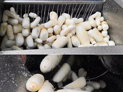 Drum Washer & Peeler